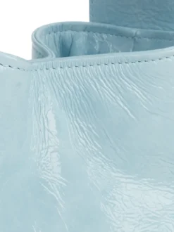Bustito glaciar