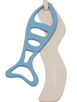 Sardina hielo charm